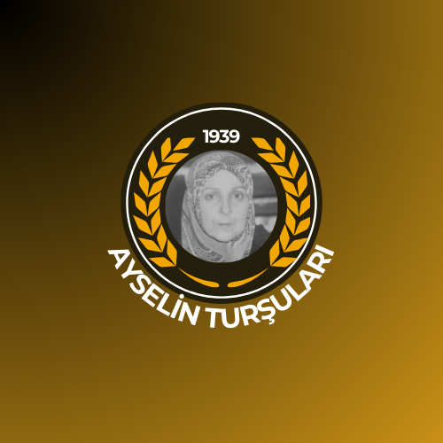 Ayselin Turşuları Logo